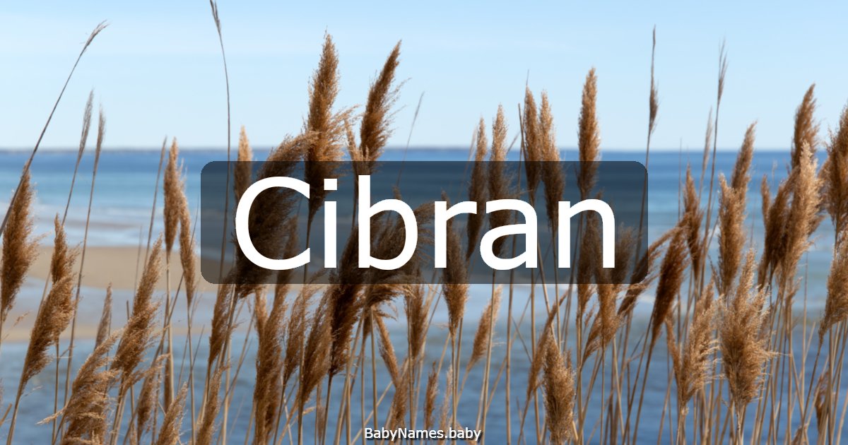 Cibran