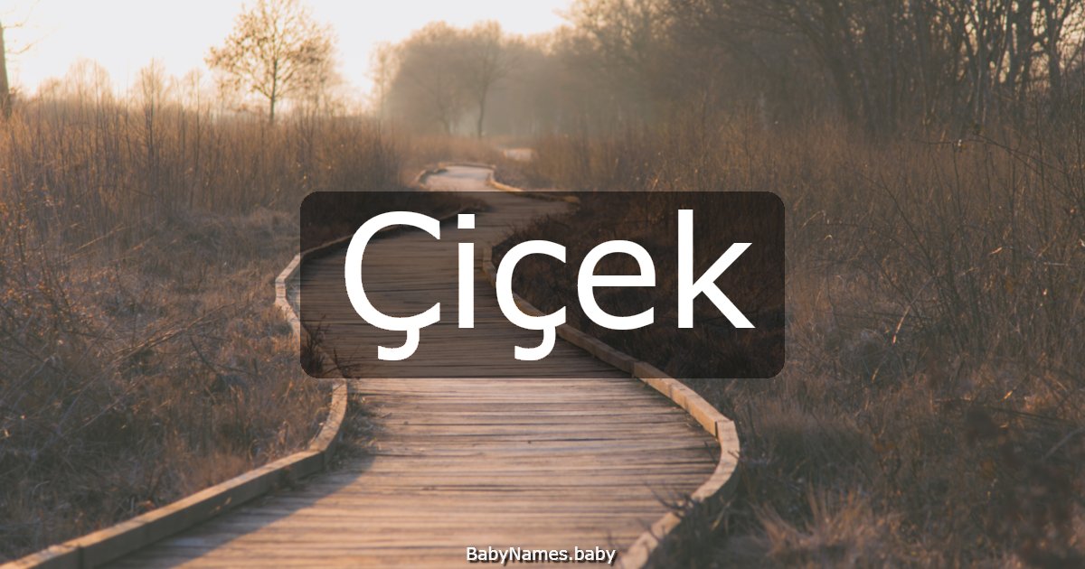 Çiçek