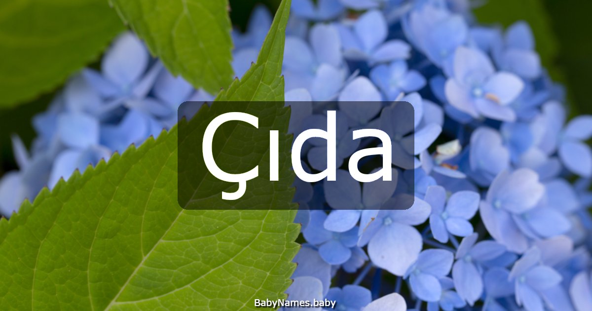 Çıda