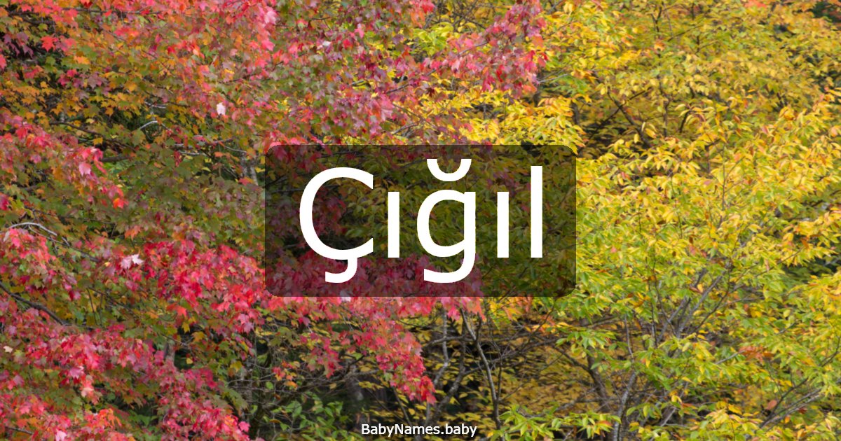 Çığıl