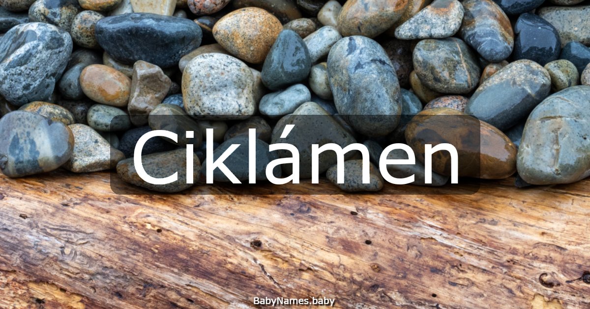 Ciklámen