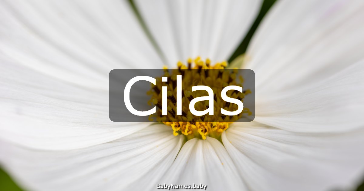 Cilas