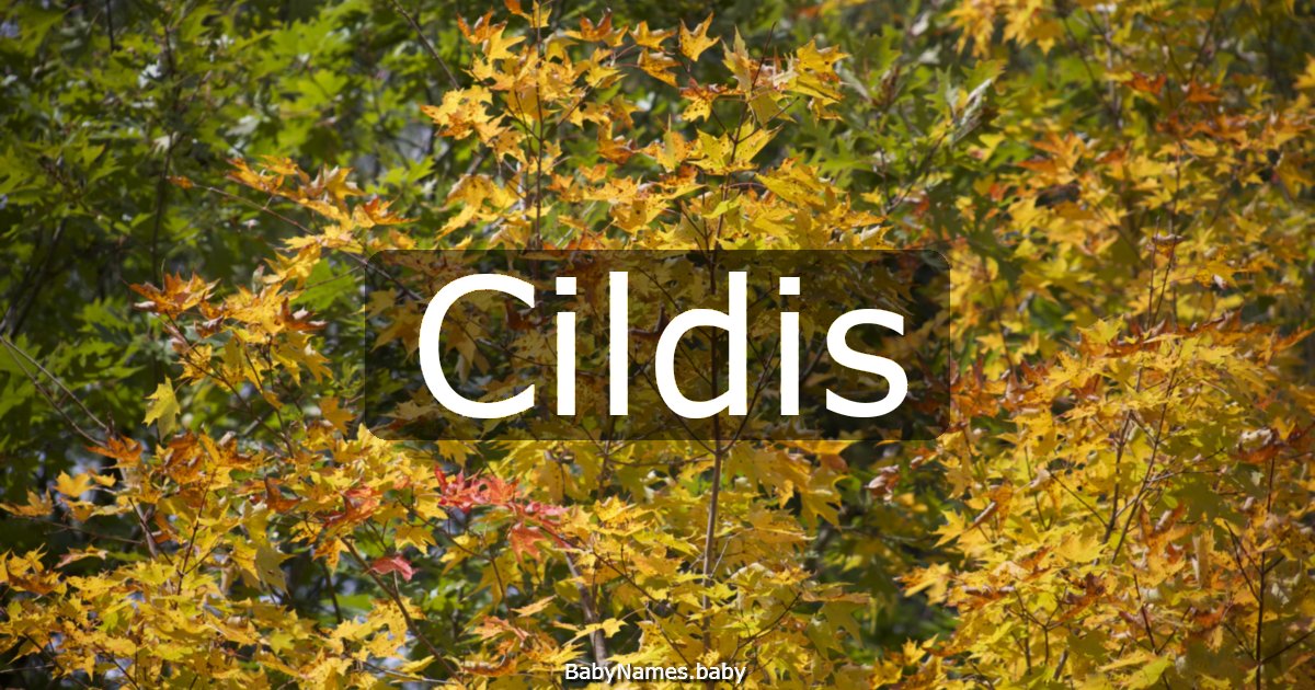 Cildis