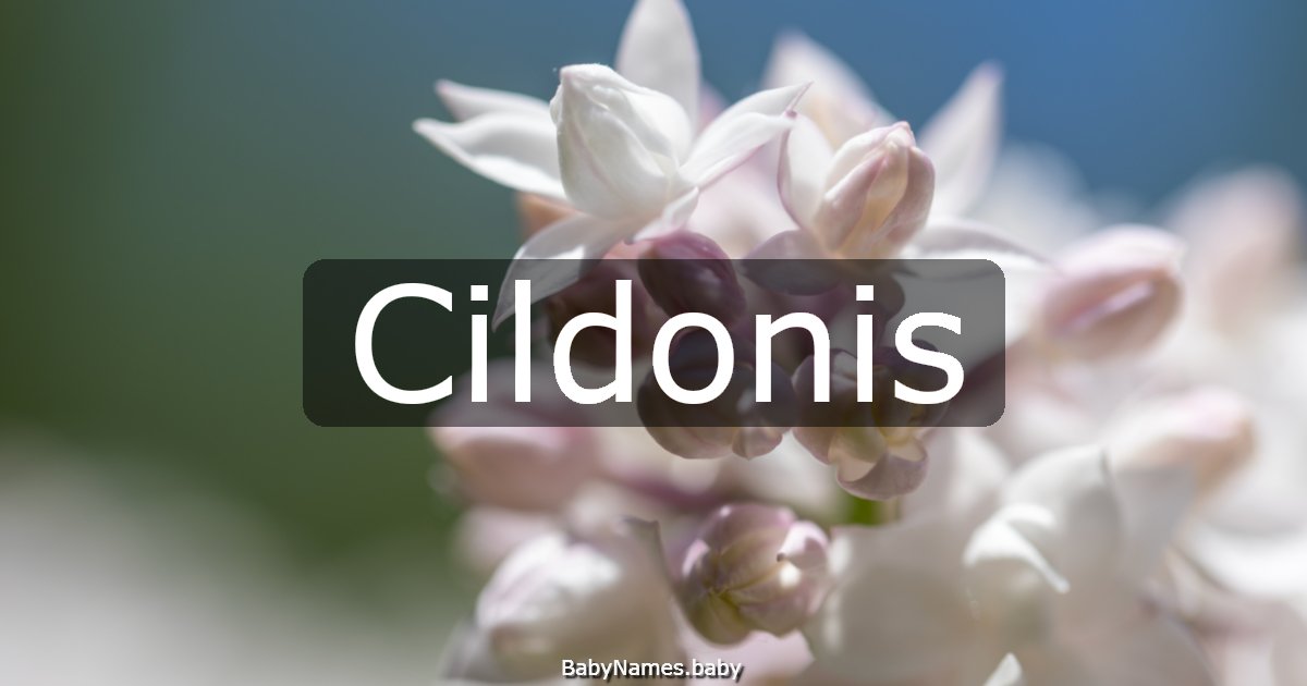 Cildonis