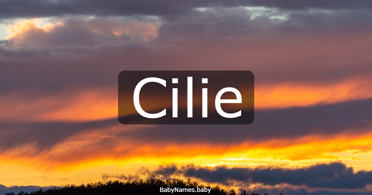 Cilie