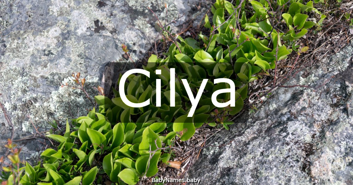Cilya