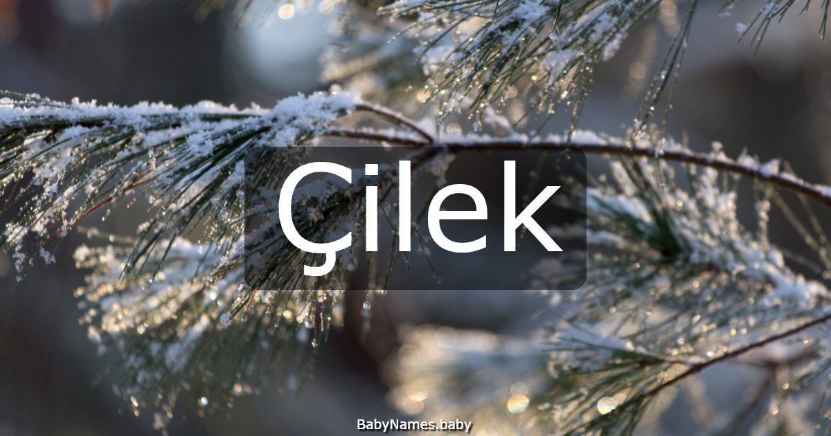 Çilek