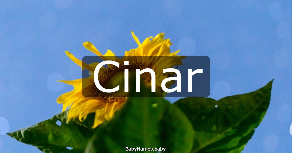 Cinar