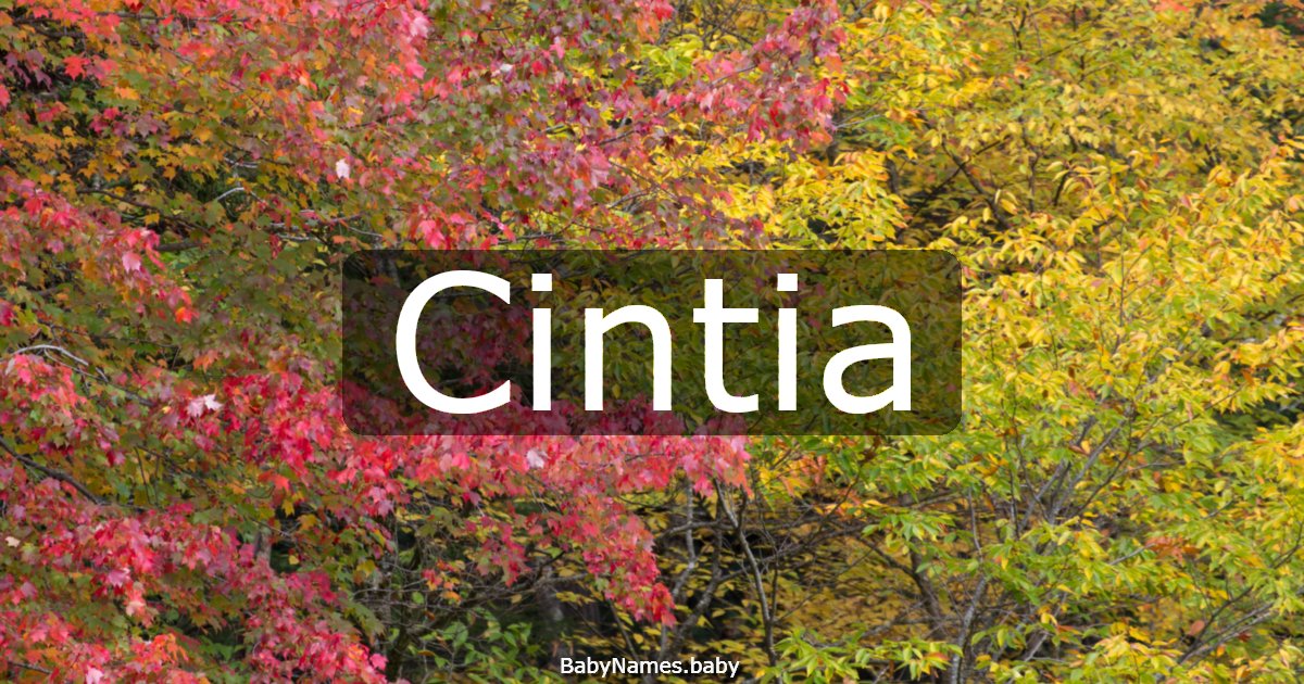 Cintia