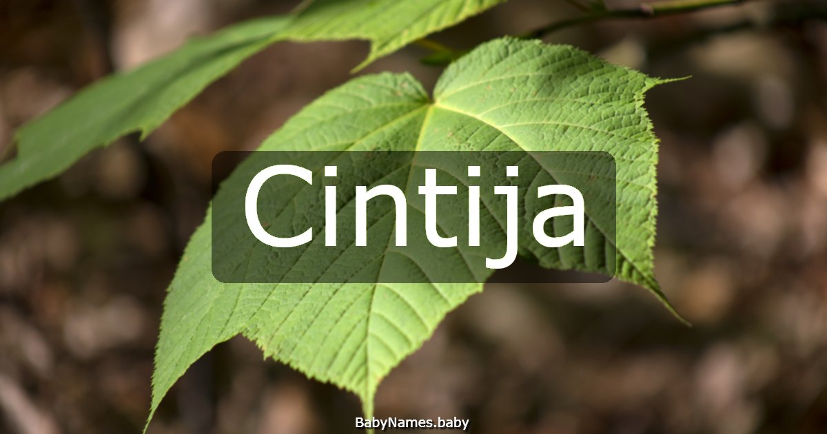 Cintija