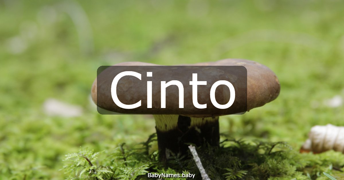 Cinto