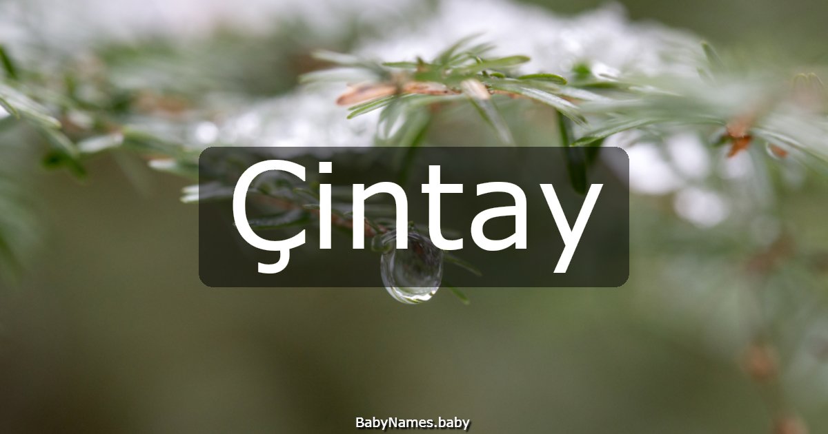 Çintay