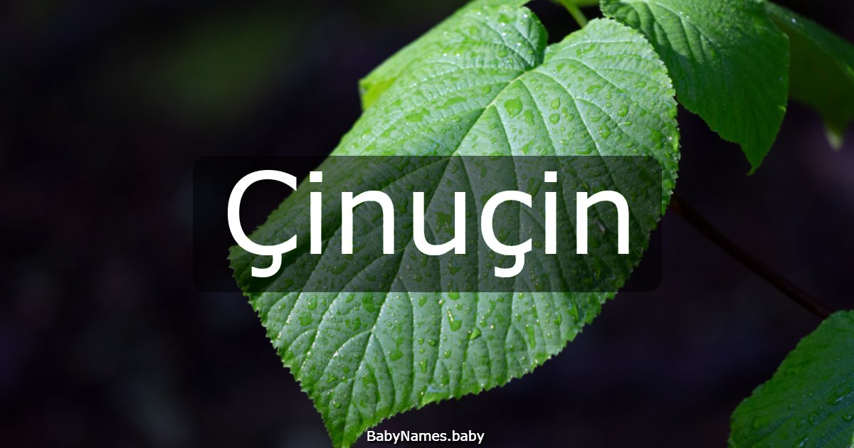 Çinuçin
