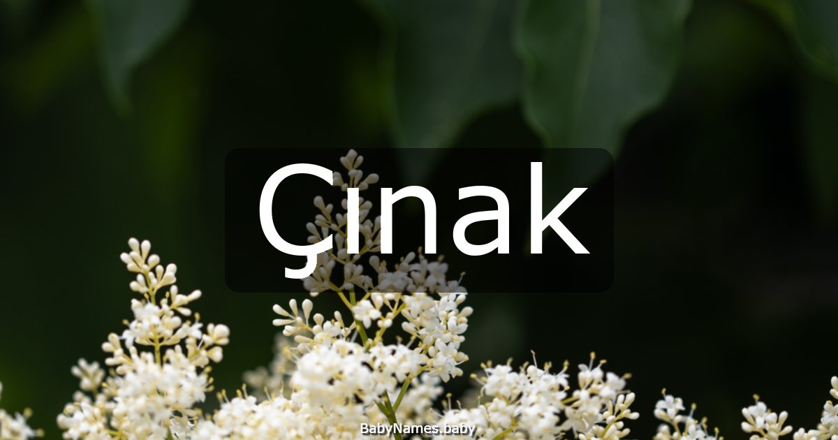 Çınak