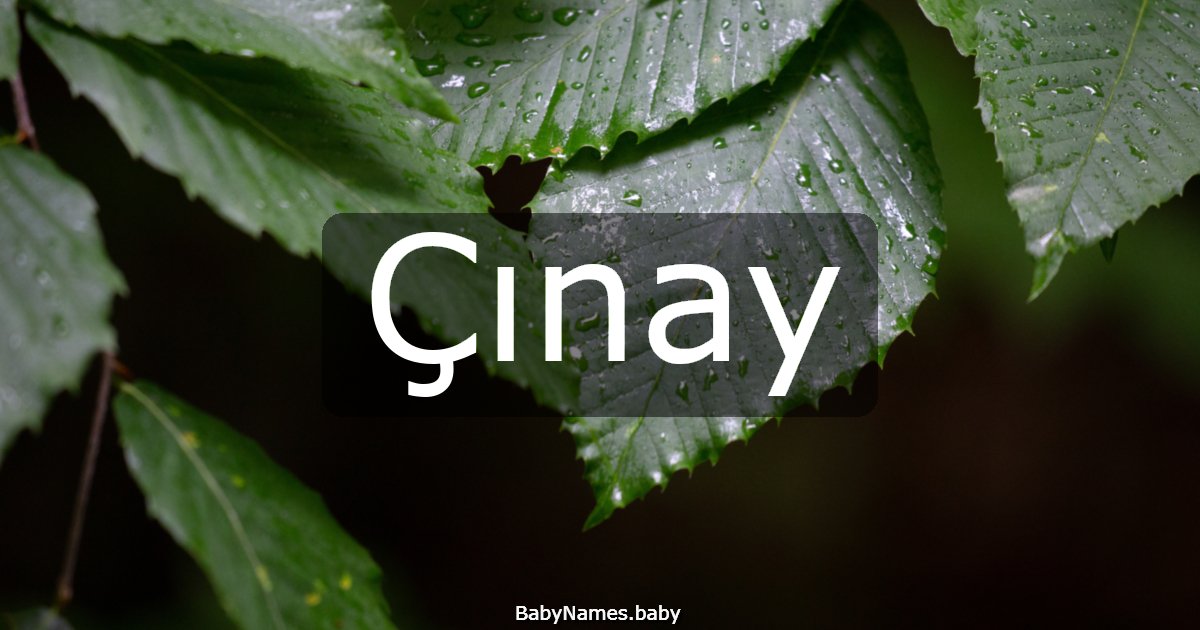 Çınay