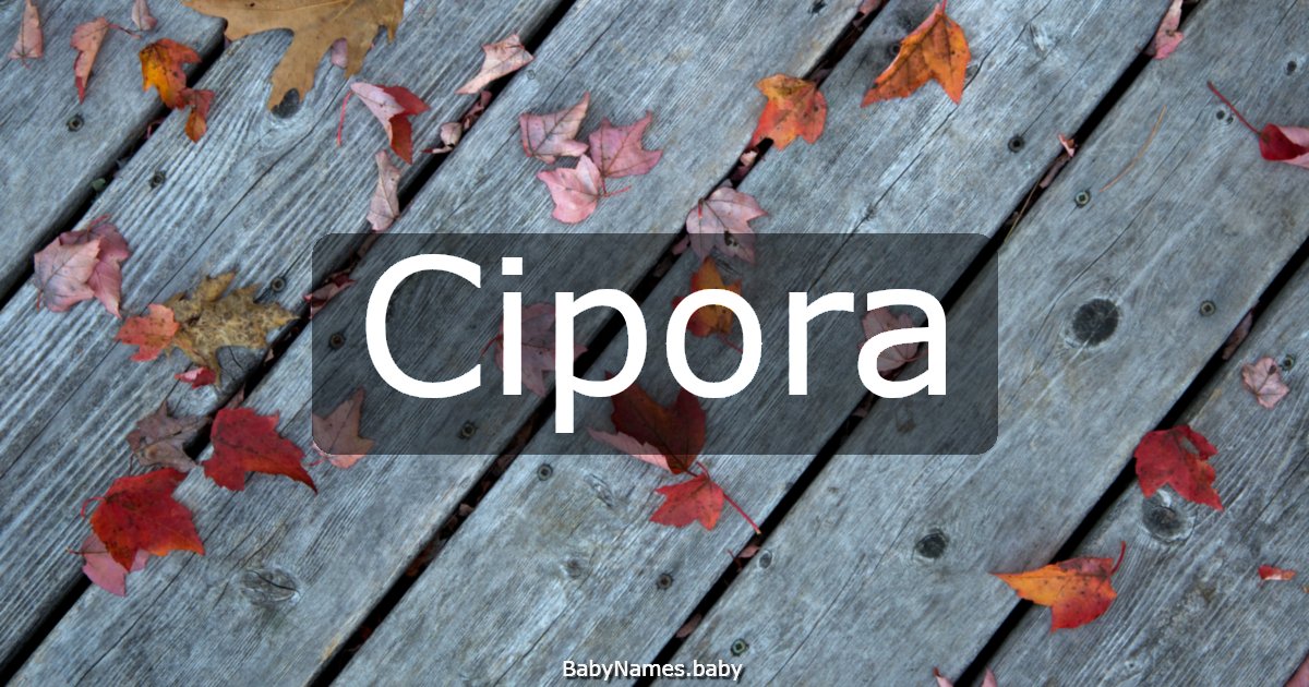 Cipora