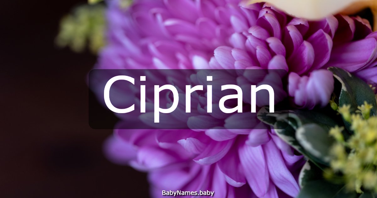 Ciprian