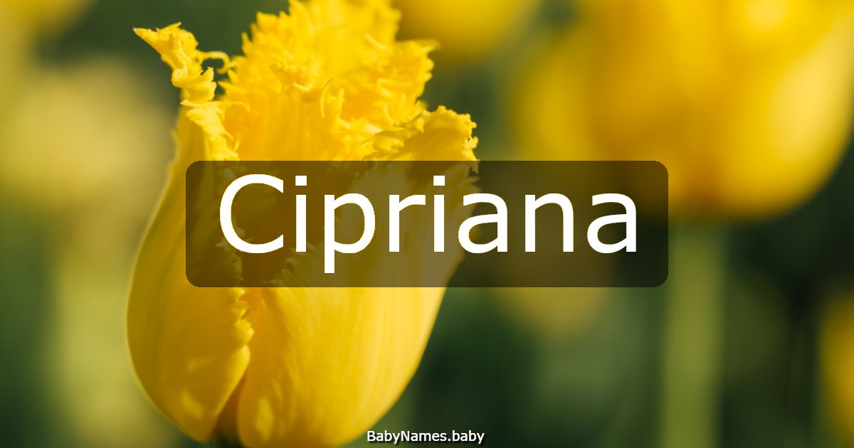 Cipriana