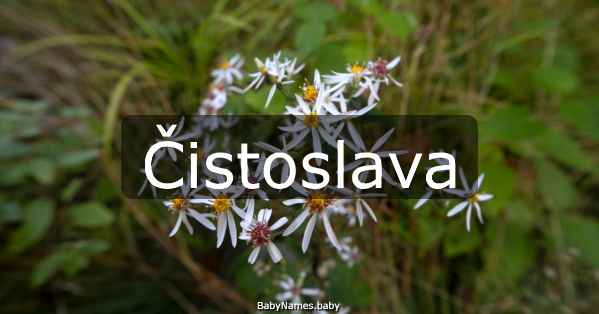 Čistoslava