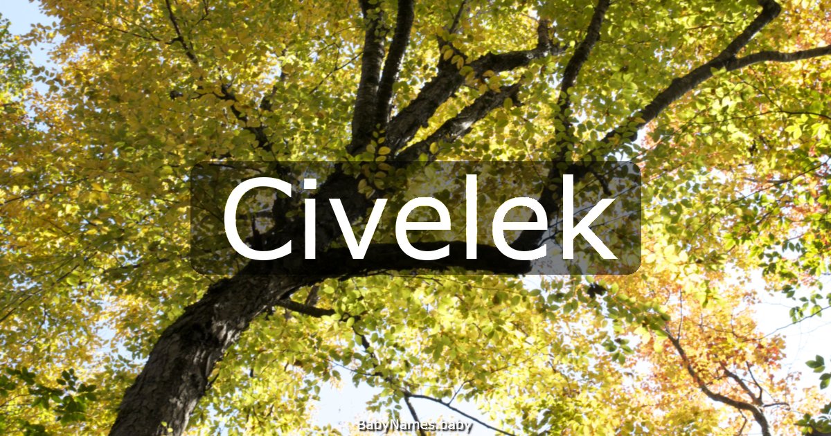 Civelek