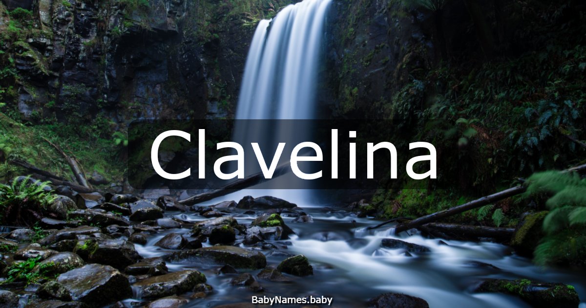 Clavelina