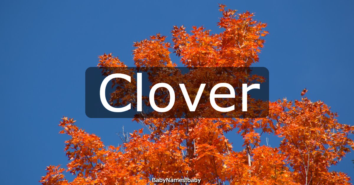 Clover