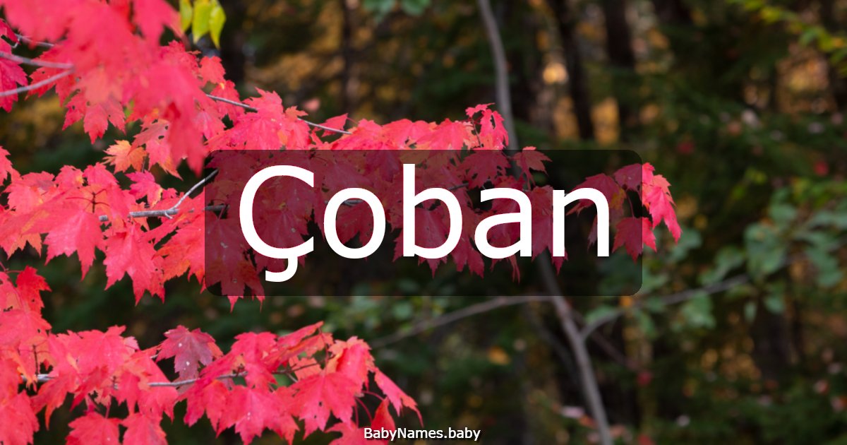 Çoban