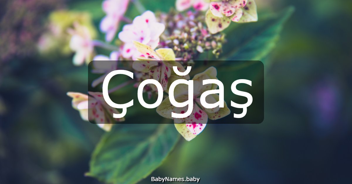 Çoğaş