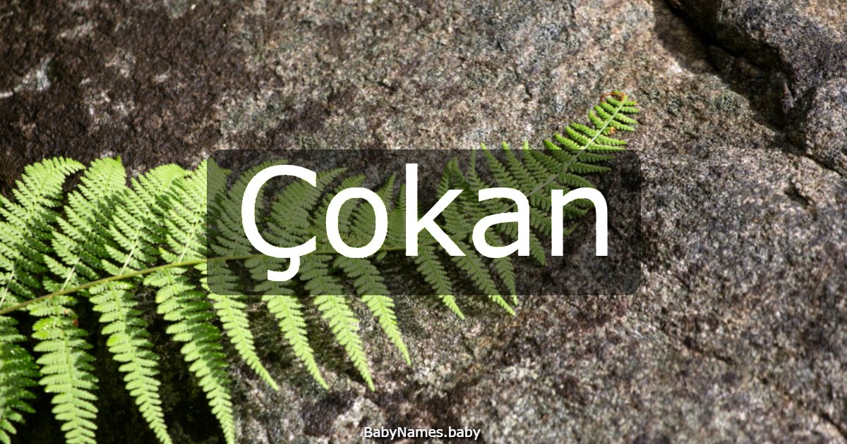 Çokan