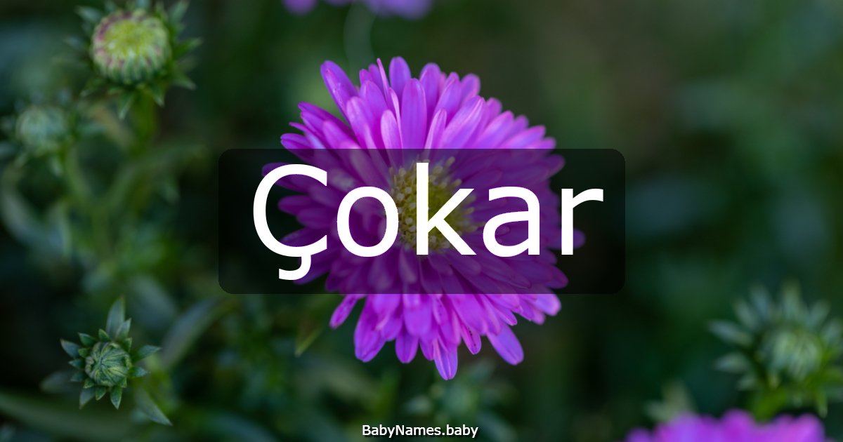 Çokar