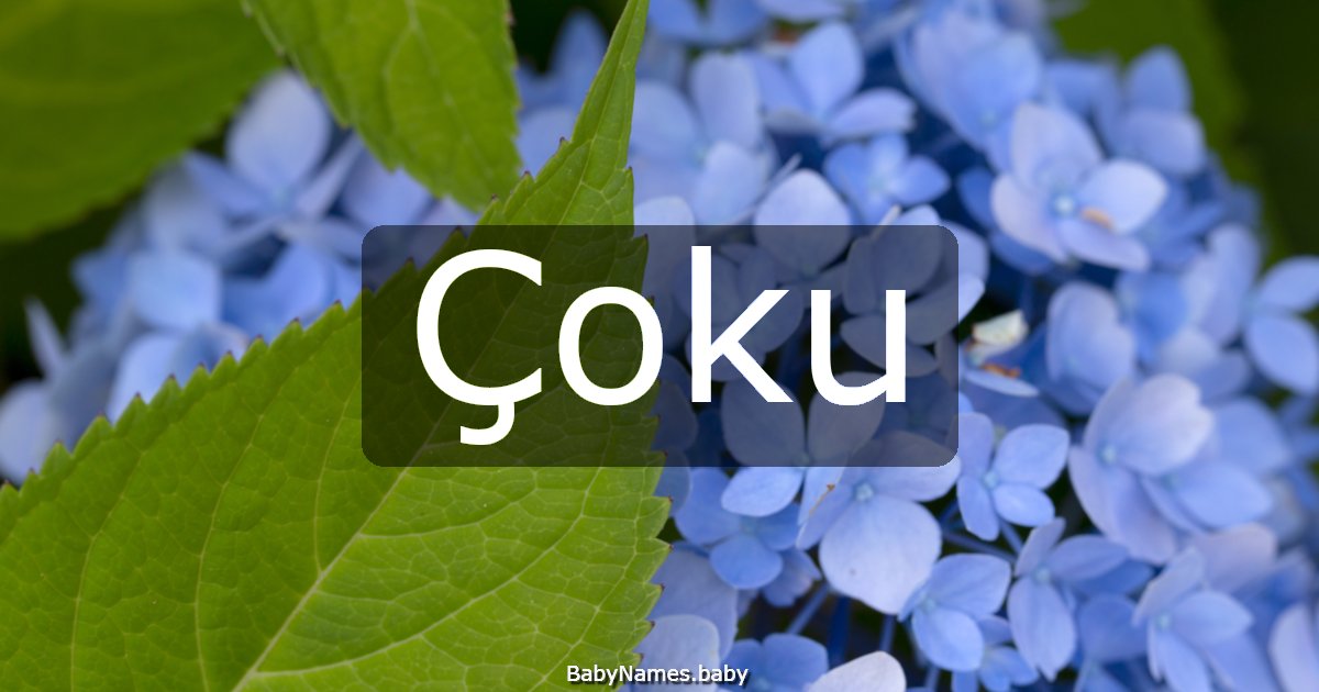 Çoku