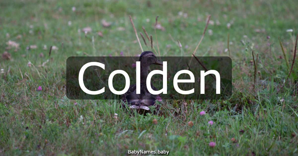 Colden