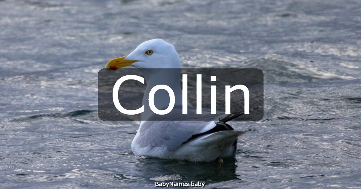 Collin