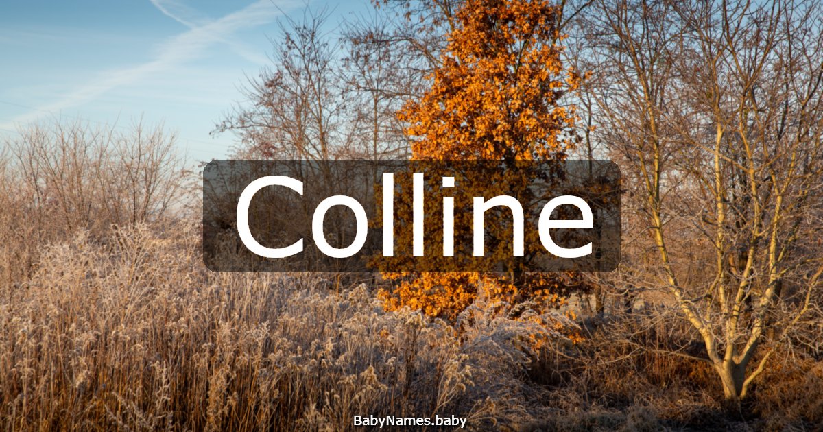 Colline