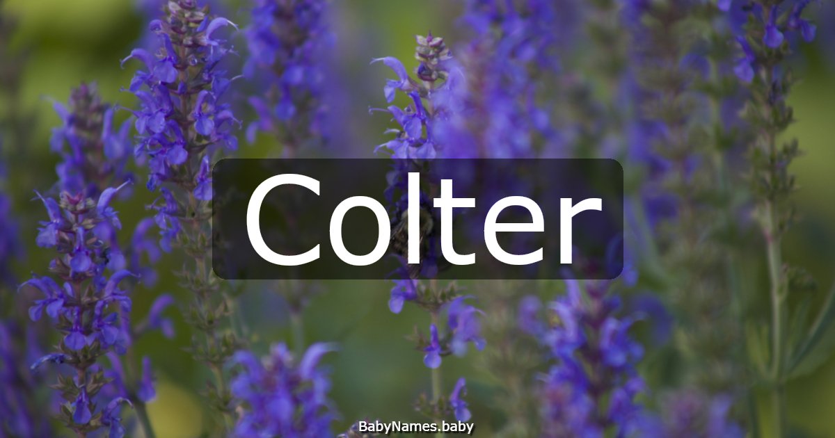 Colter