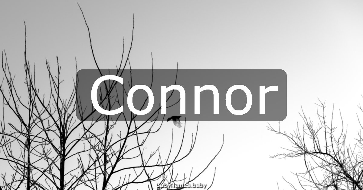 Connor
