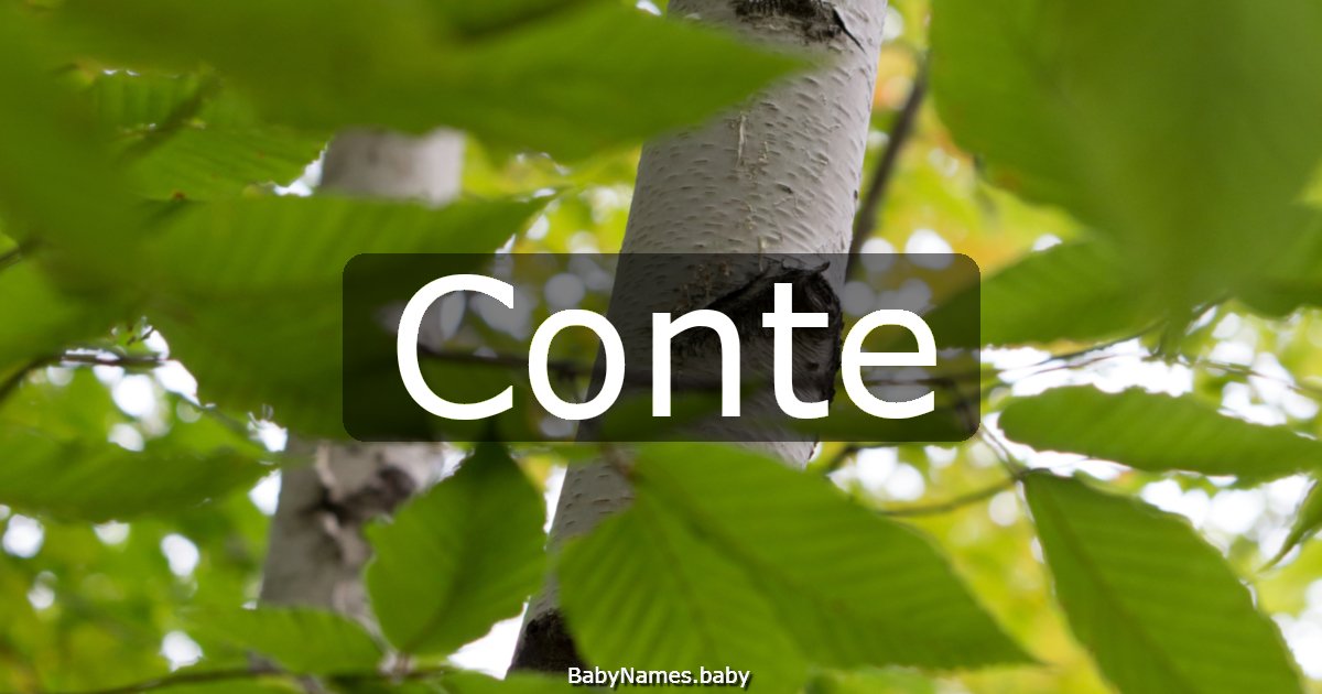 Conte