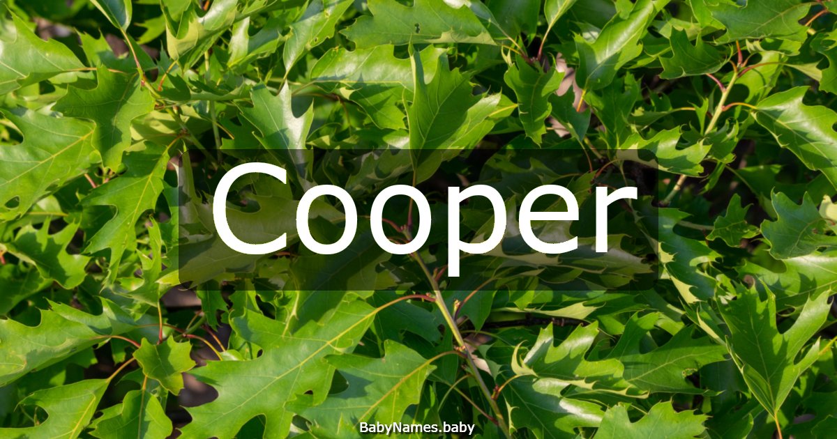 Cooper