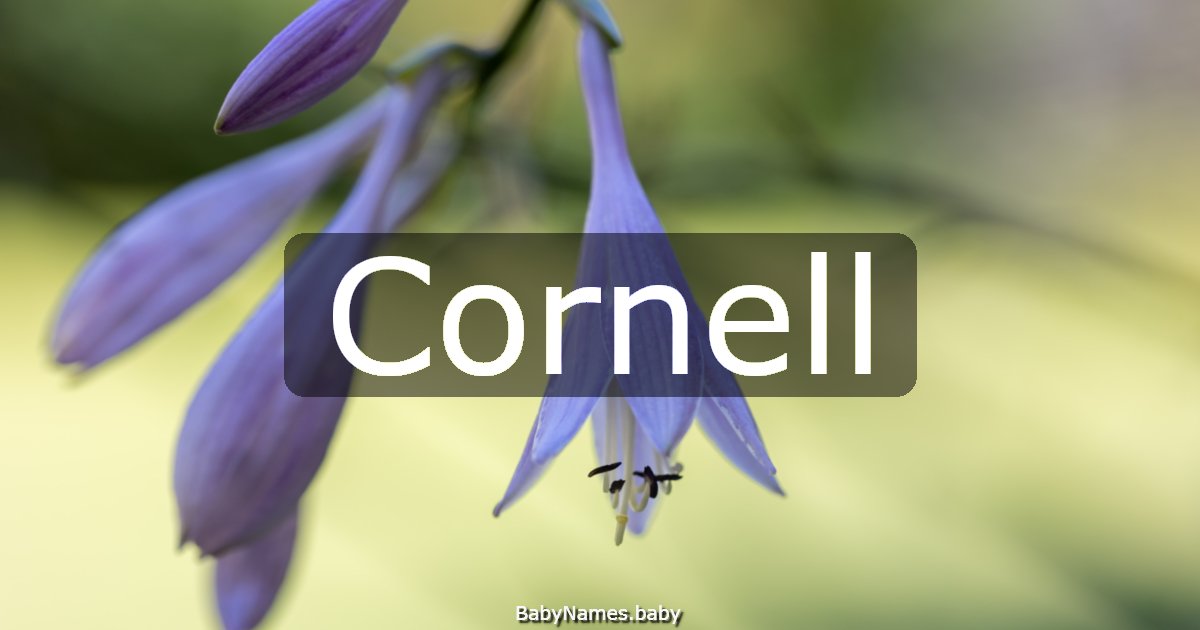Cornell