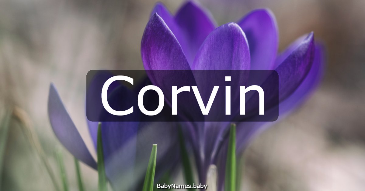 Corvin