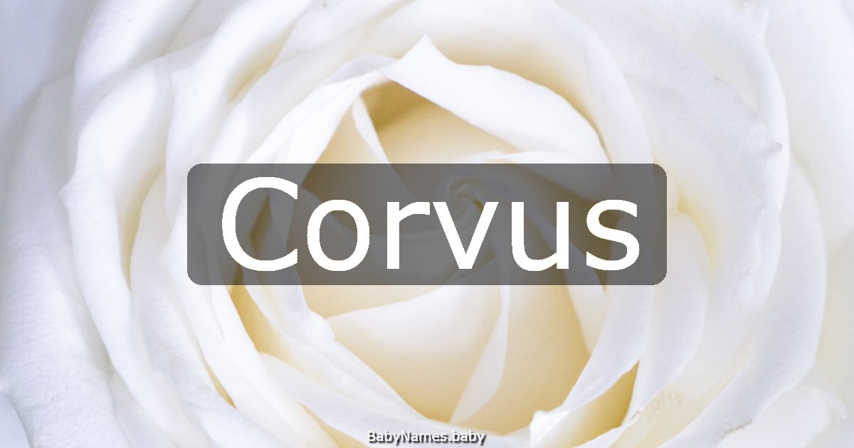 Corvus