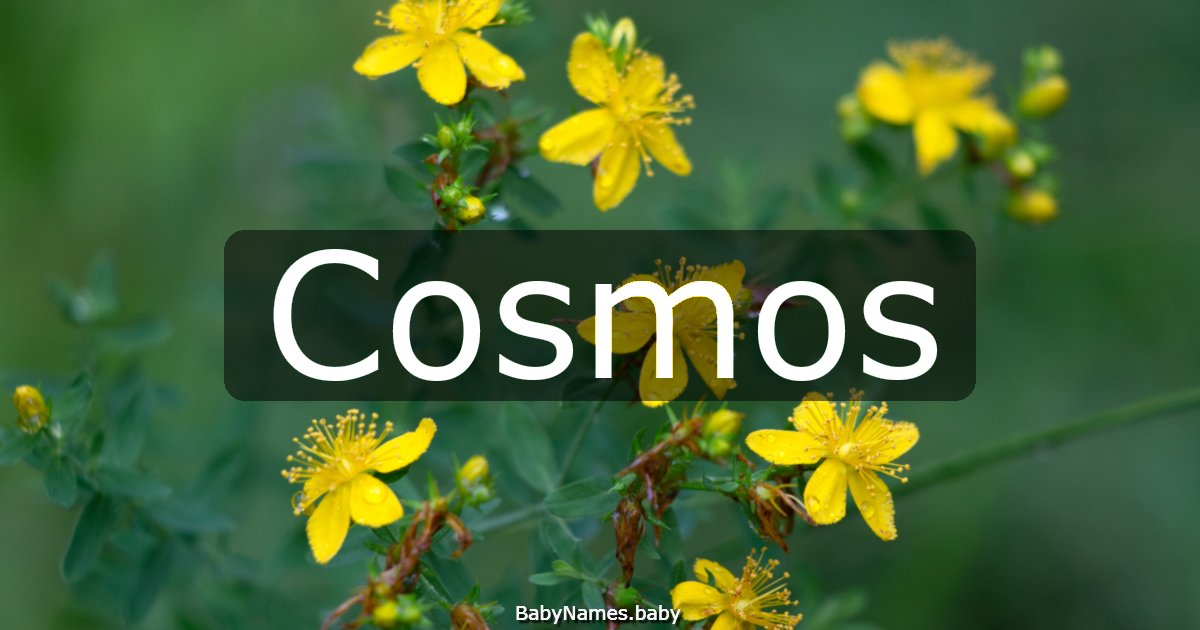 Cosmos
