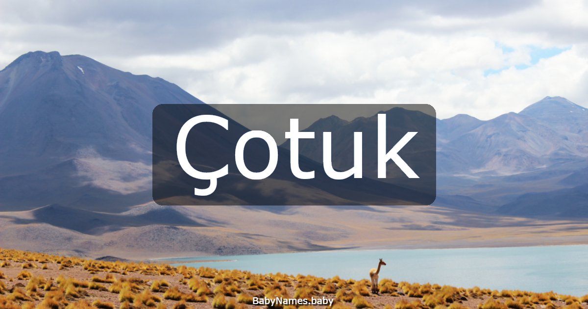 Çotuk