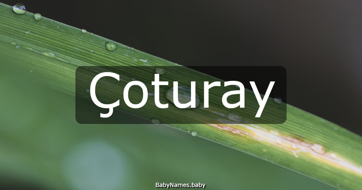 Çoturay
