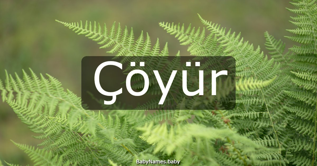 Çöyür
