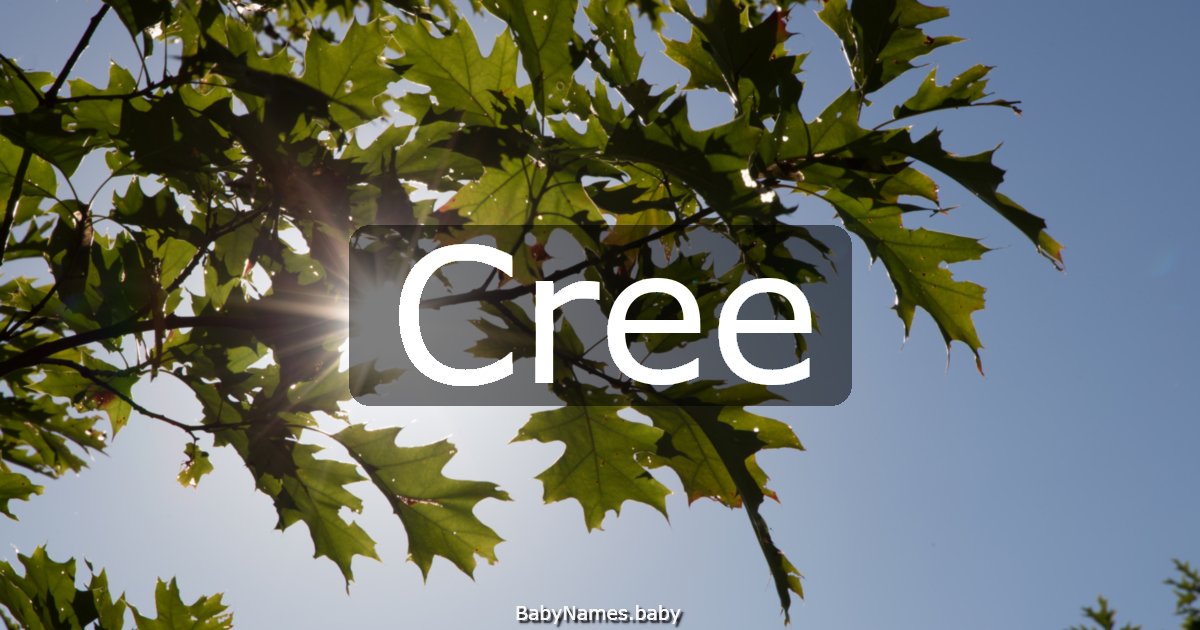 Cree