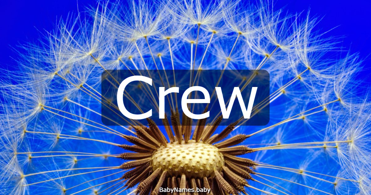 Crew