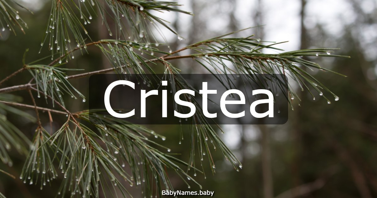 Cristea