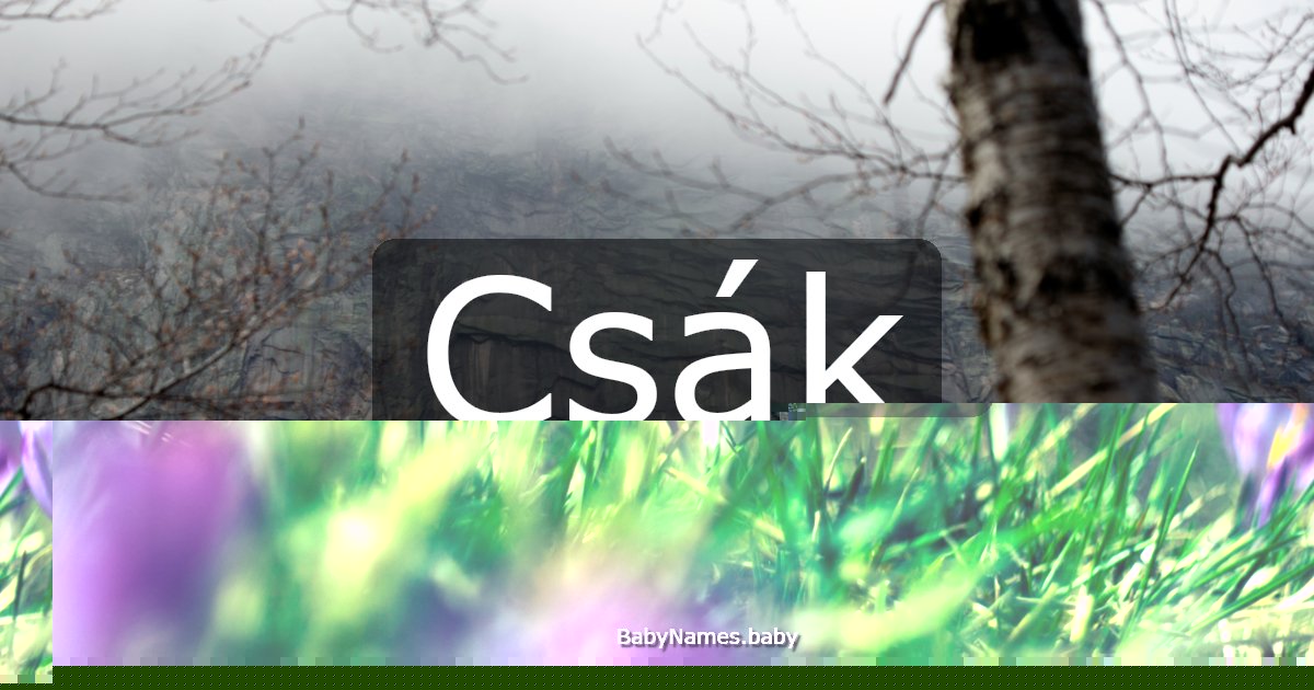 Csák