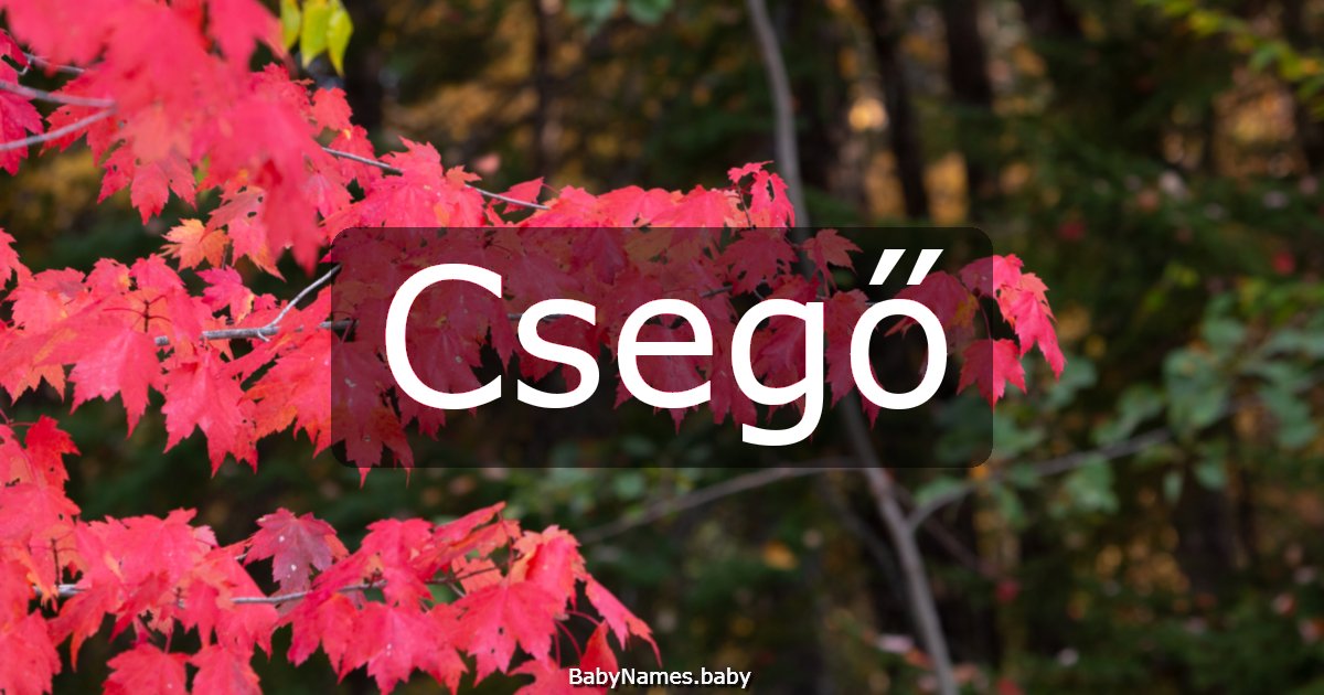 Csegő